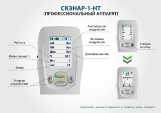 СКЭНАР-1-НТ (исполнение 01)  в Санкт-Петербурге купить Медицинский интернет магазин - denaskardio.ru 